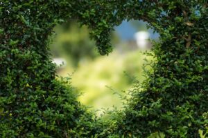 Comment utiliser une grelinette : guide pratique