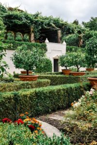 Aménager un jardin moderne : idées et conseils pratiques 2024