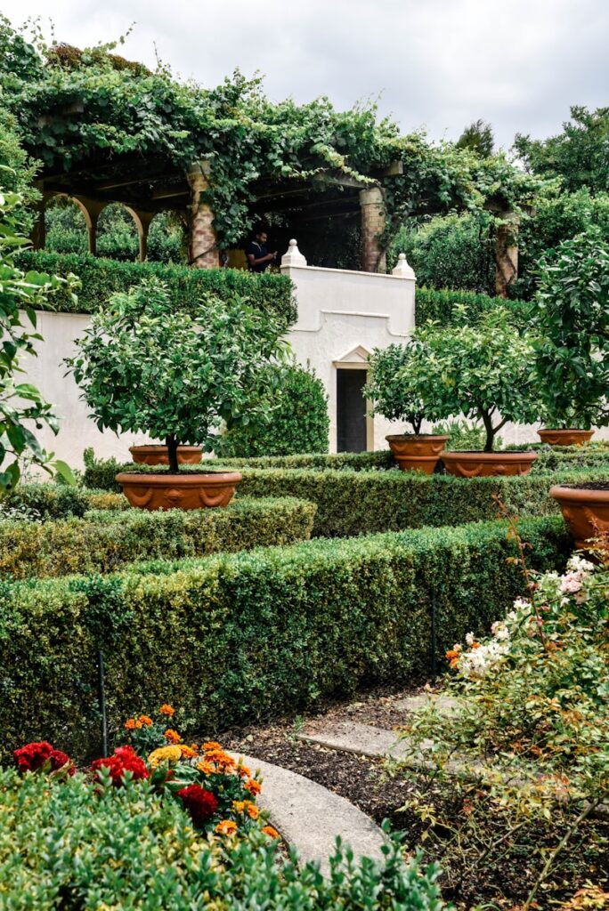 Aménager un jardin moderne : idées et conseils pratiques 2024