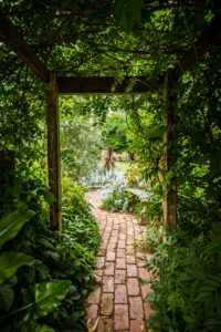 Aménager un petit jardin de 10m² : idées et astuces pratiques
