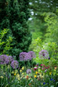 50 astuces pour décorer son jardin et créer un espace unique