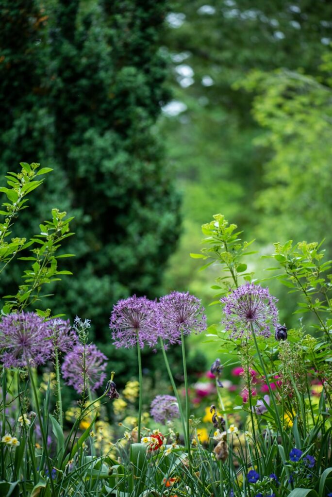 50 astuces pour décorer son jardin et créer un espace unique