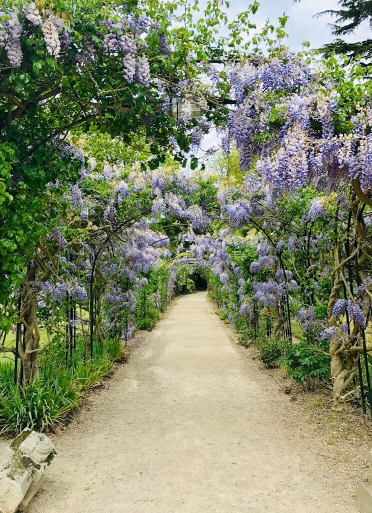 Jardin de Saint-Adrien : que devient ce lieu d’exception ?