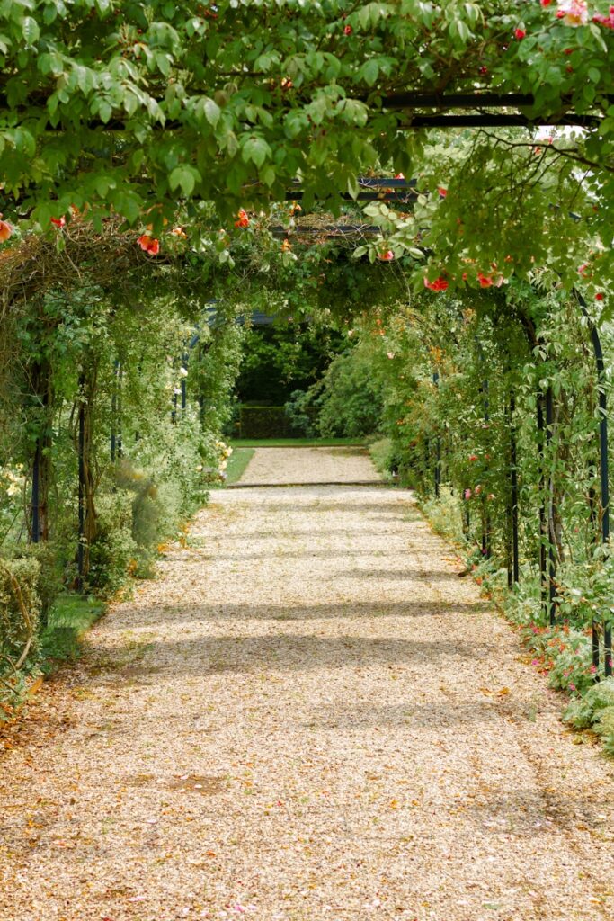 Jardin terrassement : réussir ses travaux sans mauvaise surprise Jardin terrassement : réussir ses travaux sans mauvaise surprise