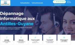 Ordis Support : le dépannage Informatique disponible 7 jours sur 7