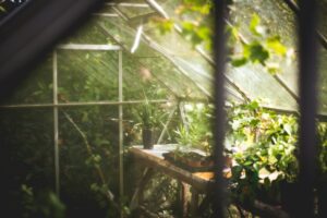 Pose abri de jardin sur plots : méthode simple et efficace