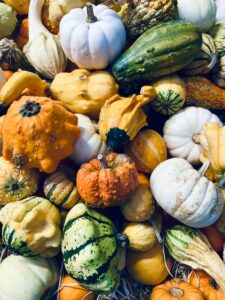 Décoration jardin avec palmier : idées inspirantes et conseils