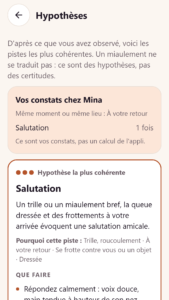 Langage du chat – MiaouConnect MiaouConnect : les hypothèses proposées pour une situation observée